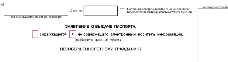Заявление о выдаче паспорта содержащего электронный носитель информации образец заполнения