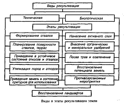 заявление о нецелевом использовании земельного участка образец