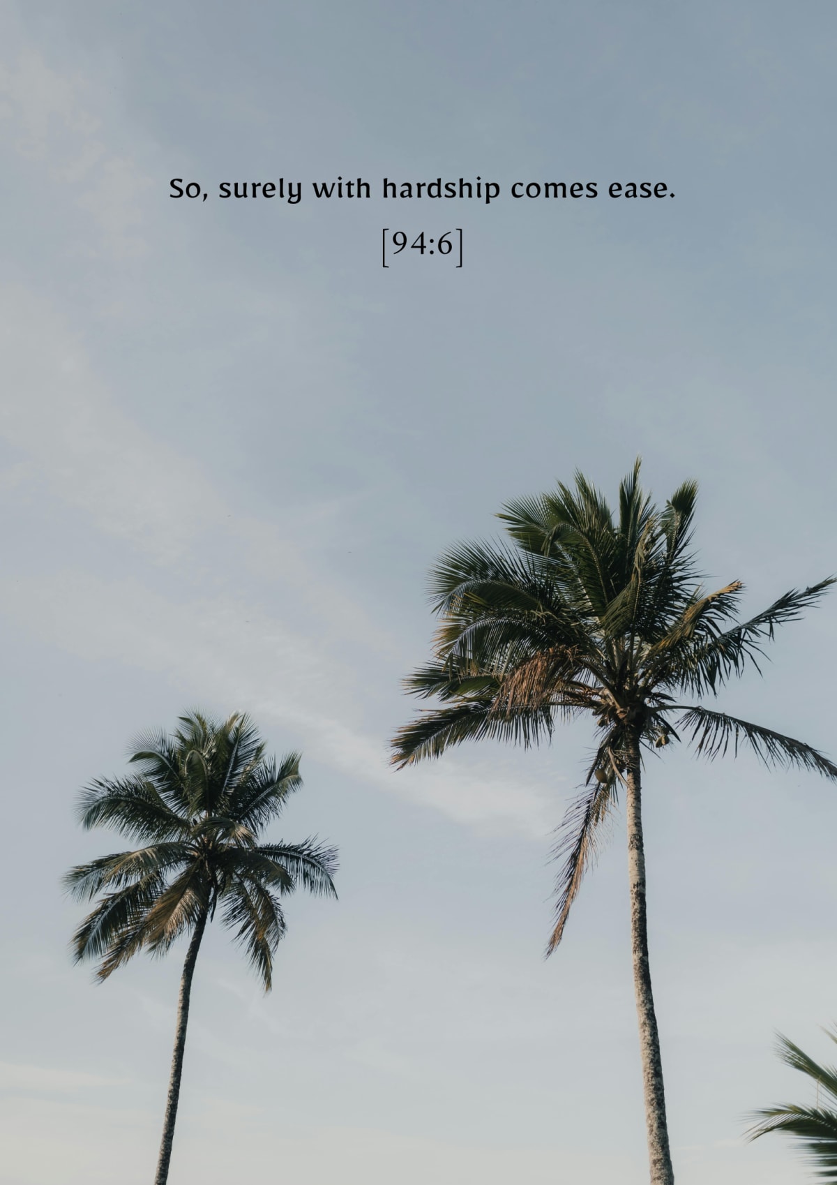 Palmiers, verset 94:6