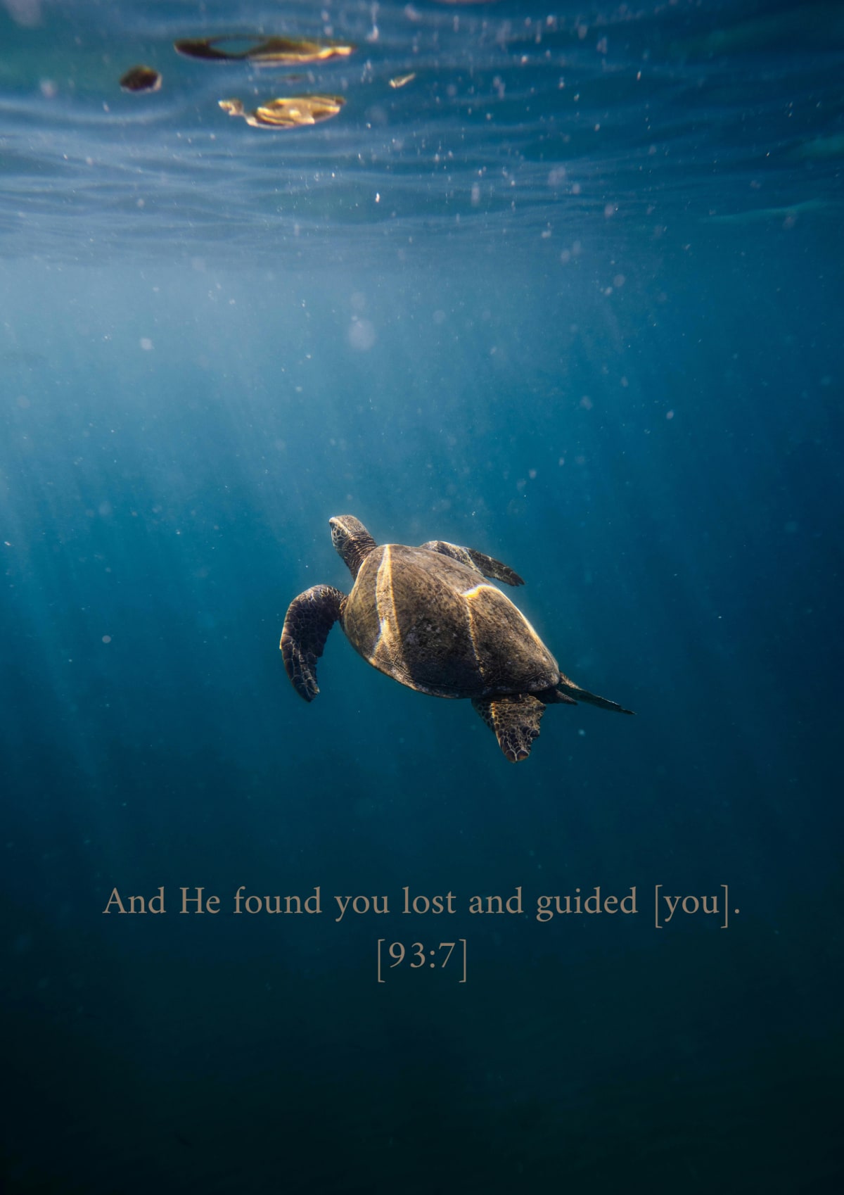 La tortue guidée, verset 93:7
