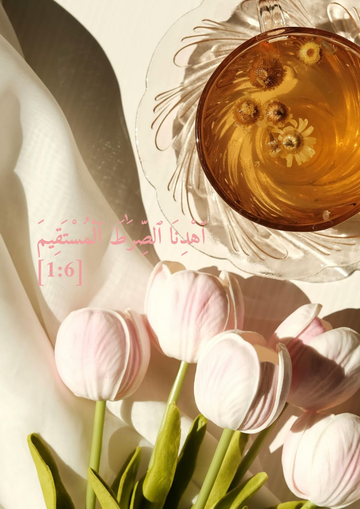 Tulipes, verset 1:6