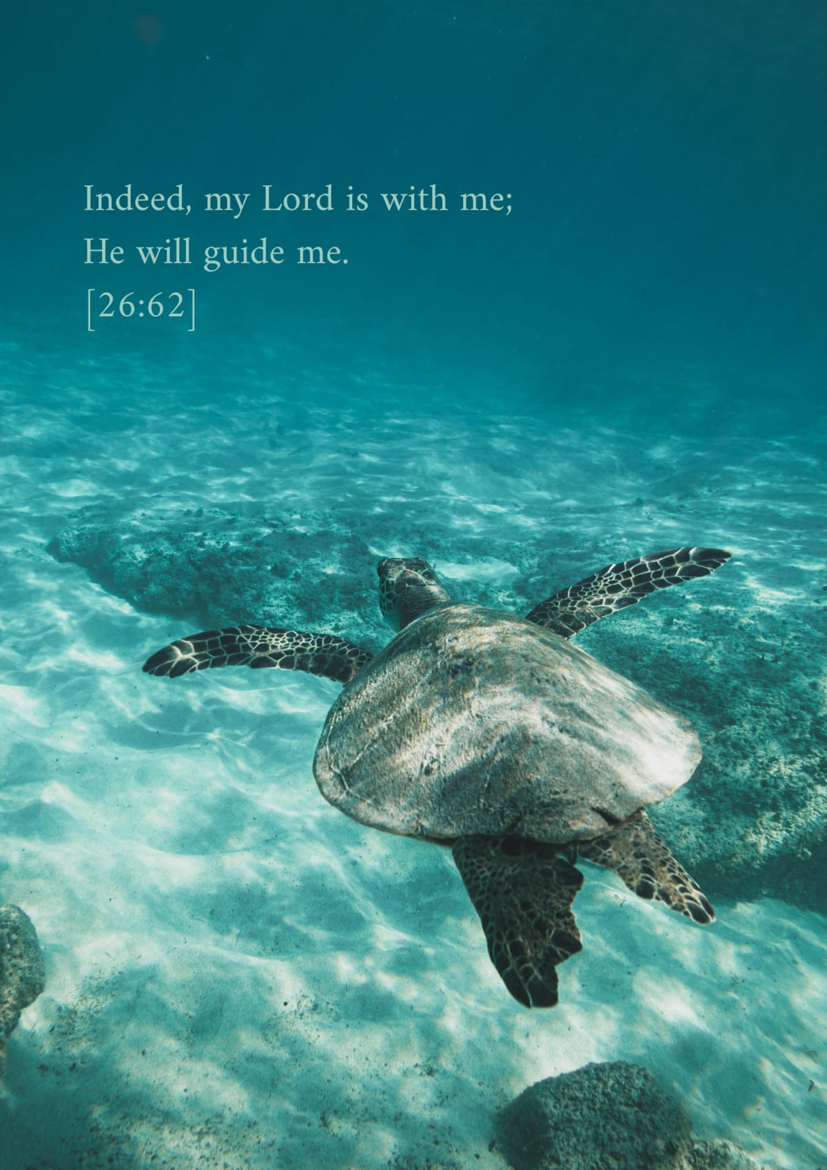 La tortue, verset 26:62