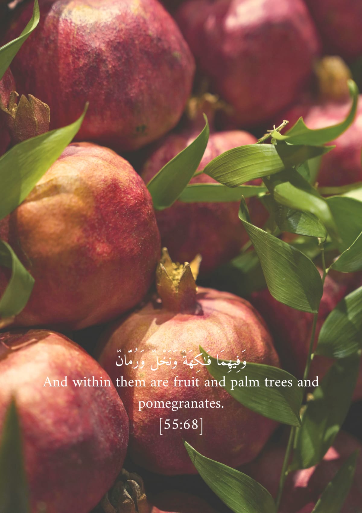 Grenades, verset 55:68