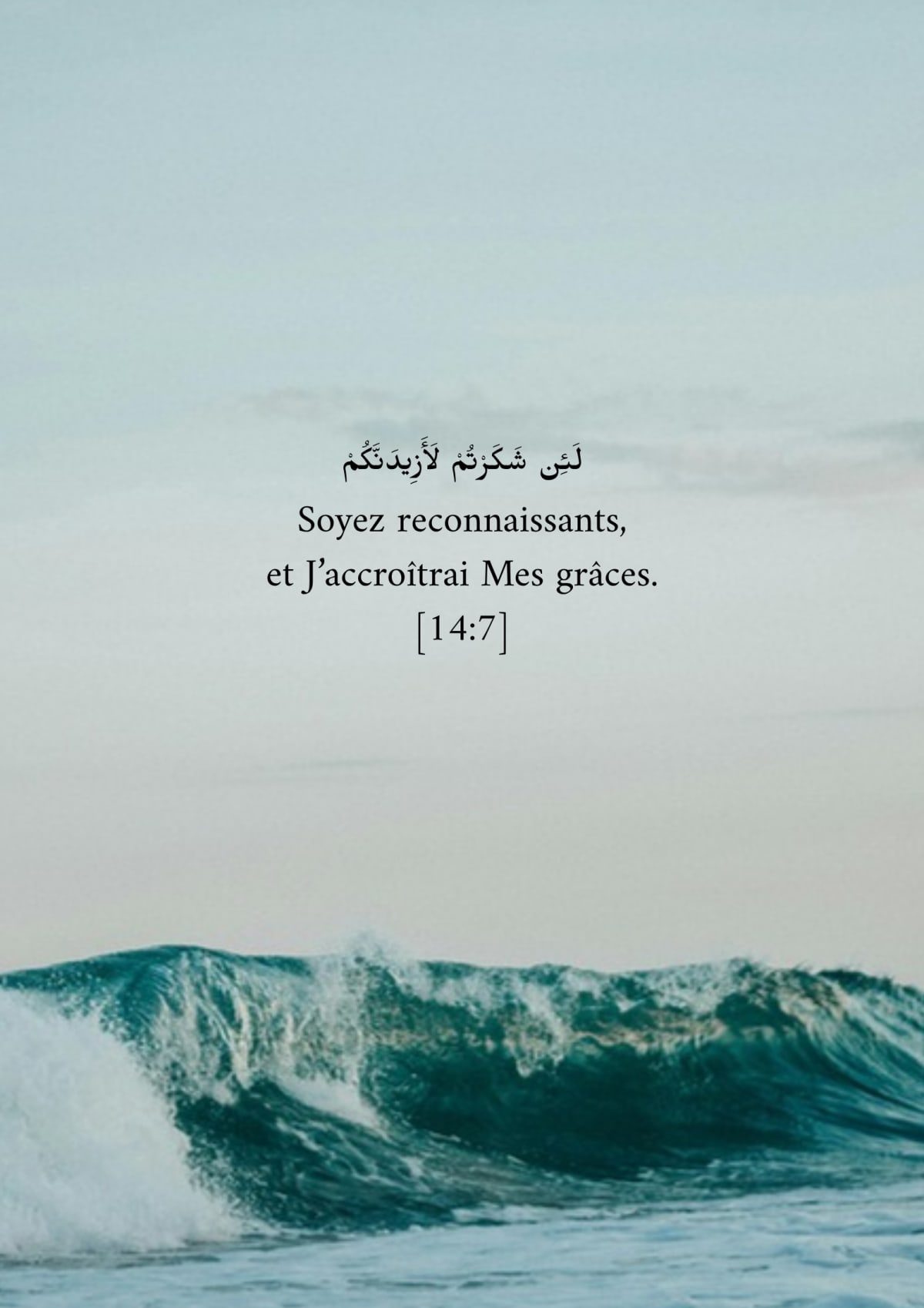 Mer ondulante, verset 14:7