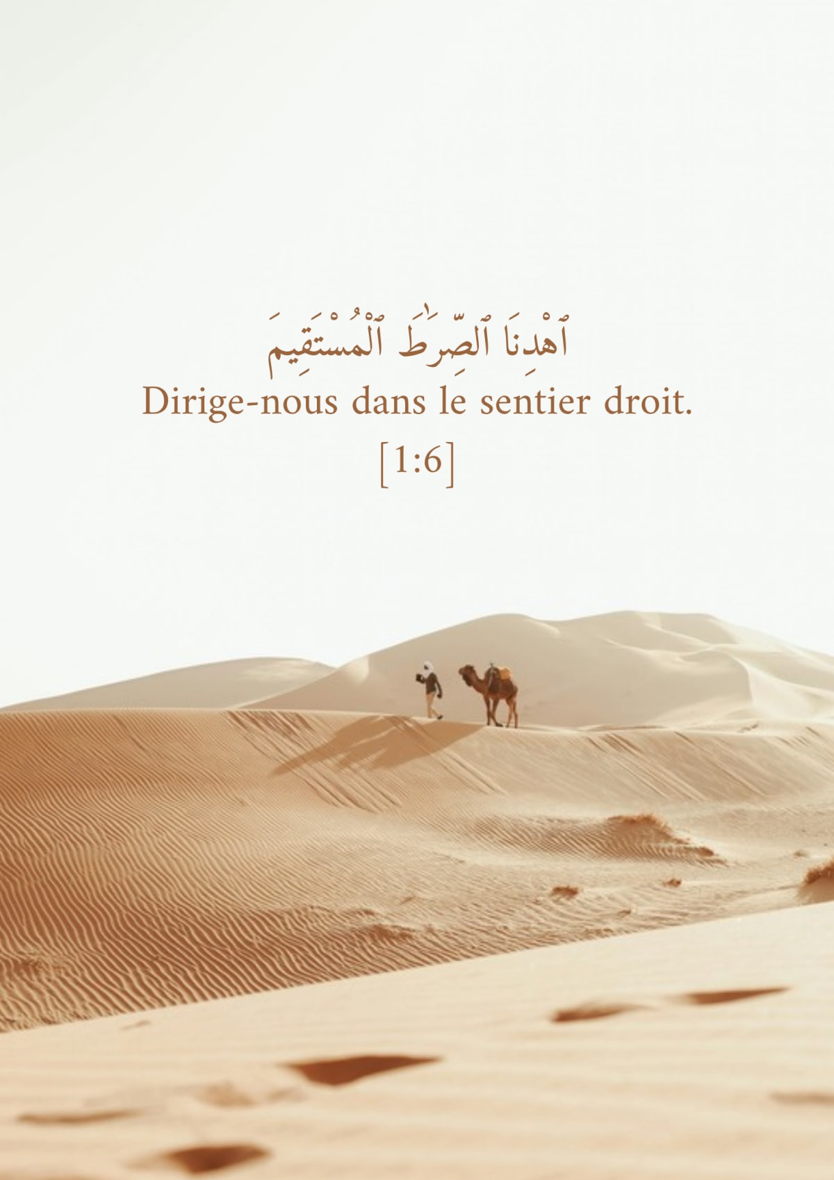 Voyageur des dunes, verset 1:6