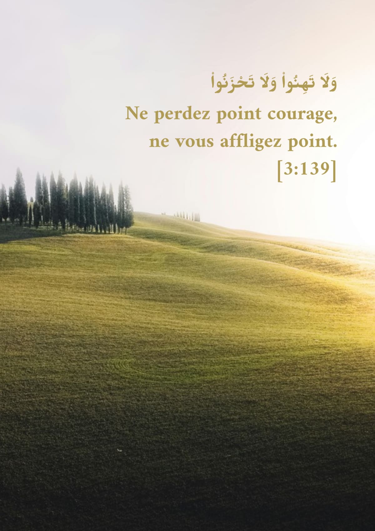 Champ au lever du jour, verset 3:139