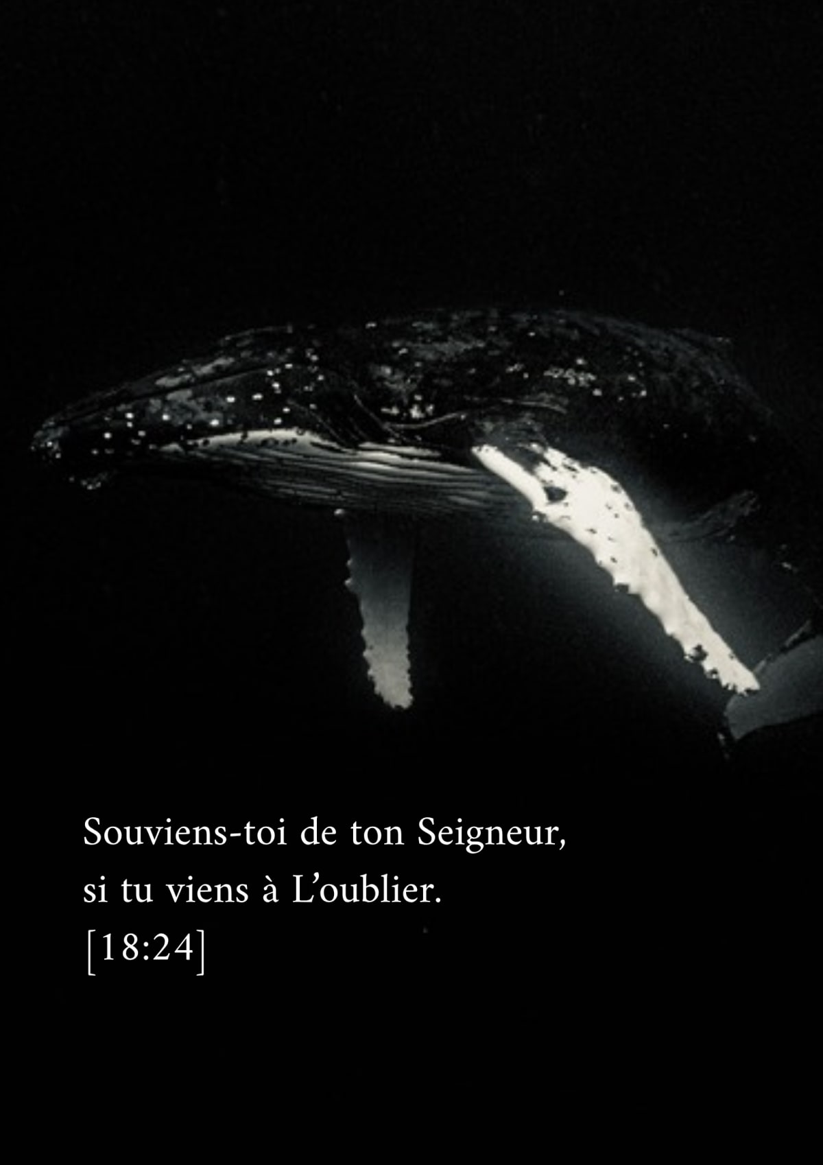Baleine, verset 18:24
