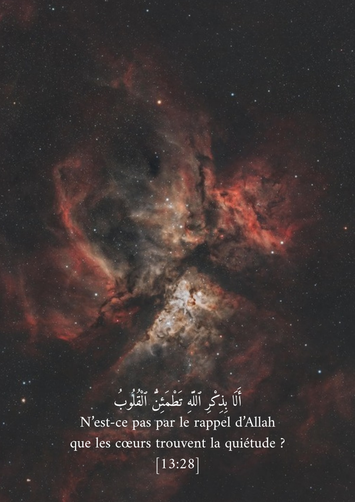 Quiétude, verset 13:28