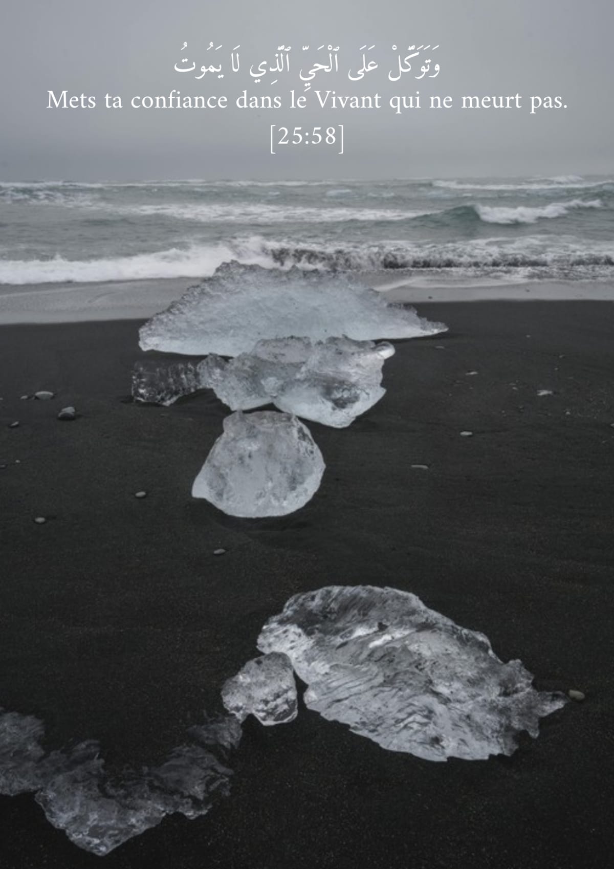 Le Vivant, verset 25:58