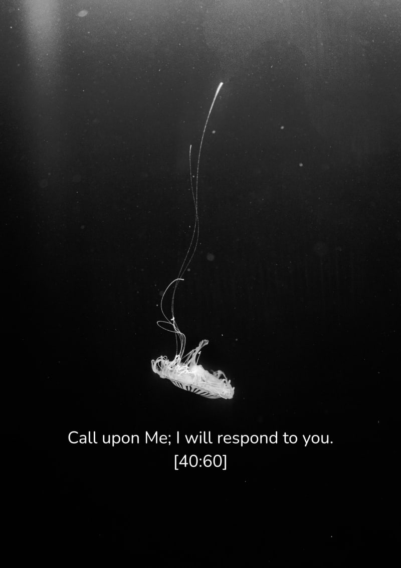 Méduse, verset 40:60