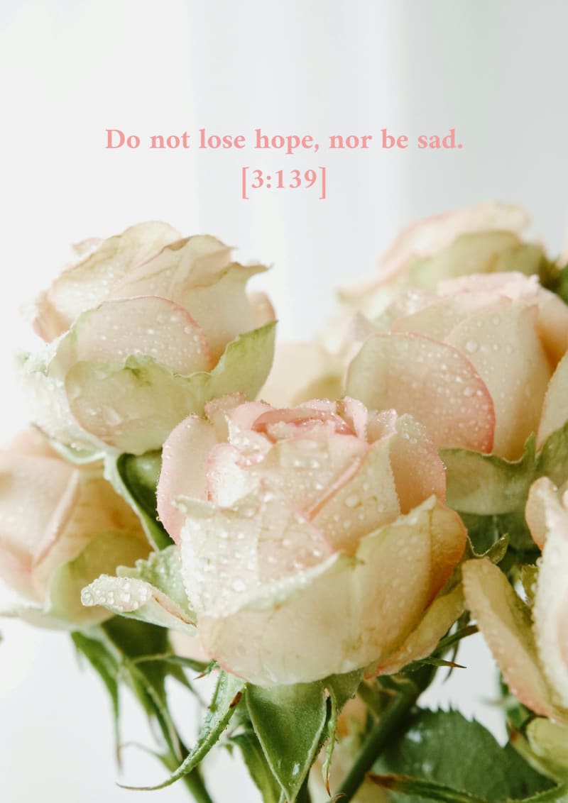 Roses, verset 3:139