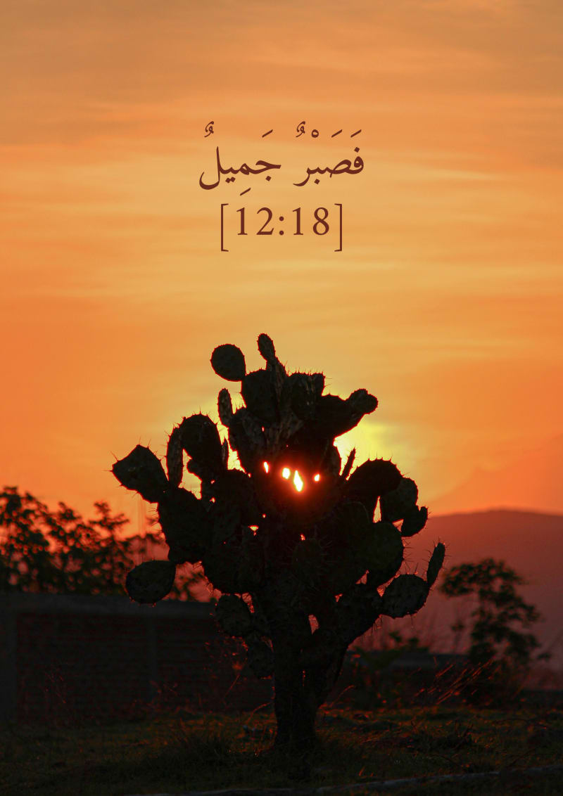 Sabr, verset 12:18