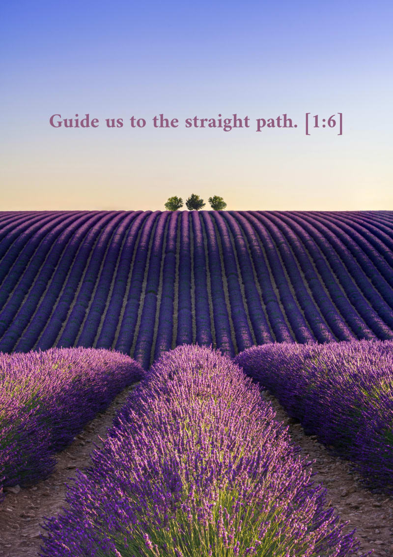 Rangs violets, verset 1:6