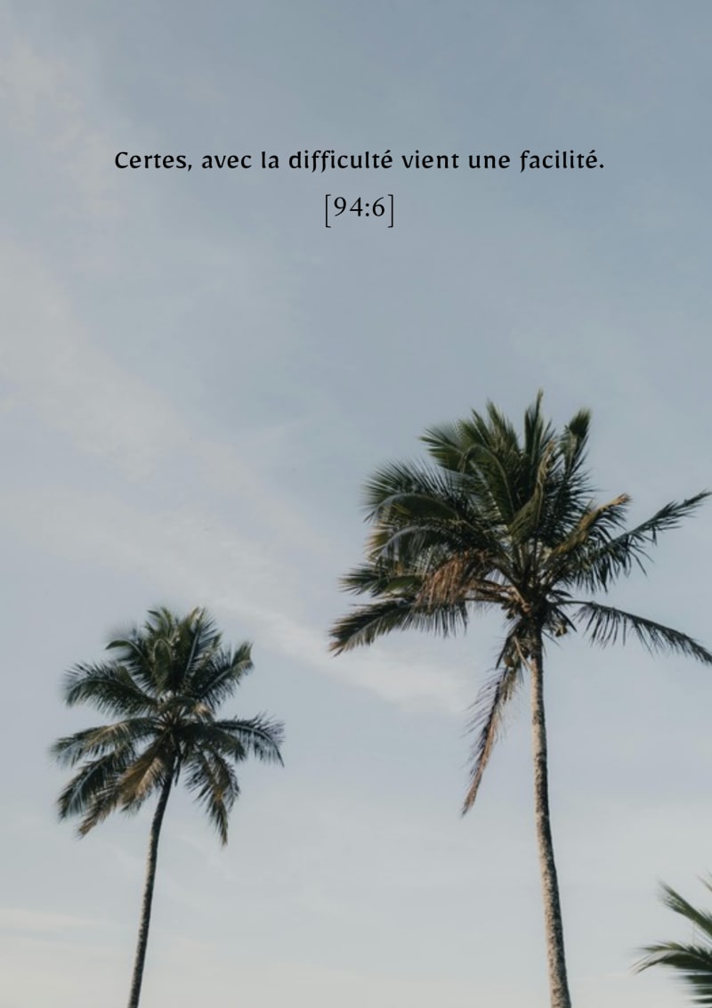Palmiers, verset 94:6