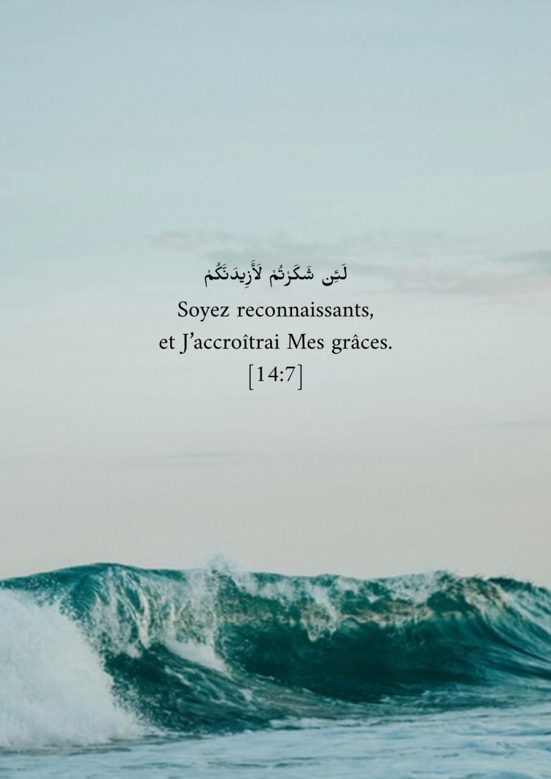 Mer ondulante, verset 14:7