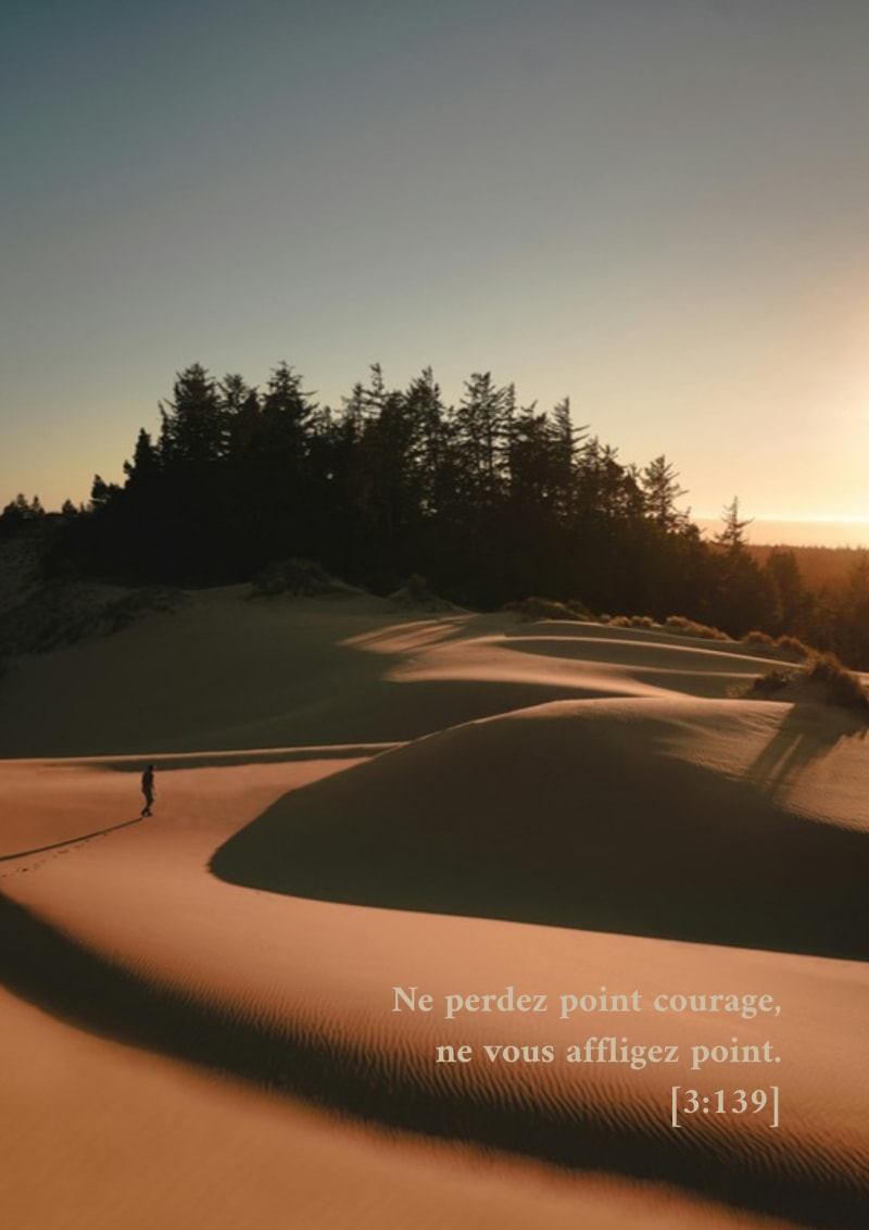 Dune boisée, verset 3:139