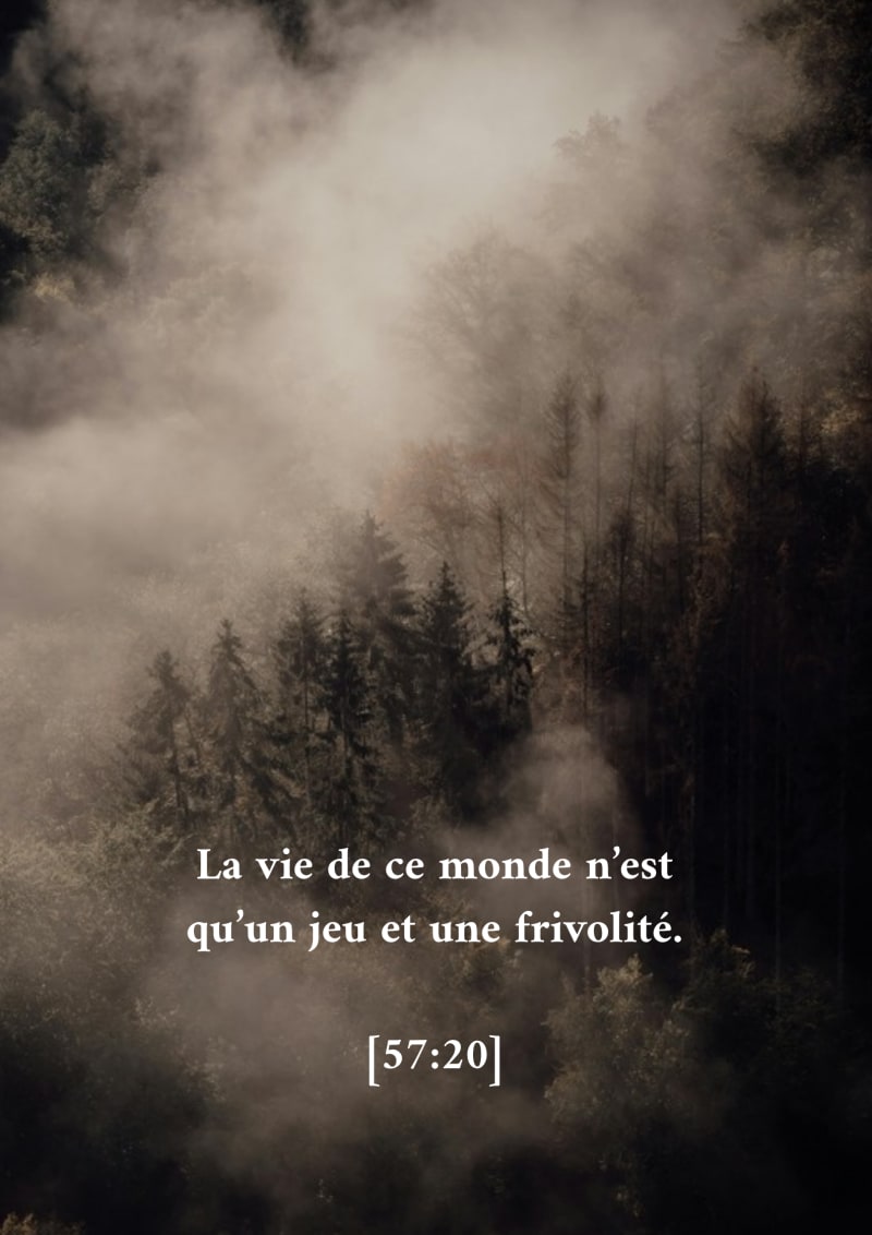 Nuages et arbres, verset 57:20