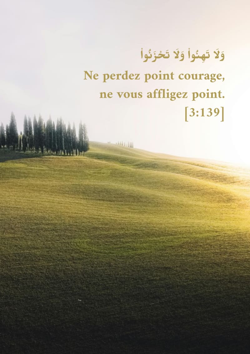 Champ au lever du jour, verset 3:139