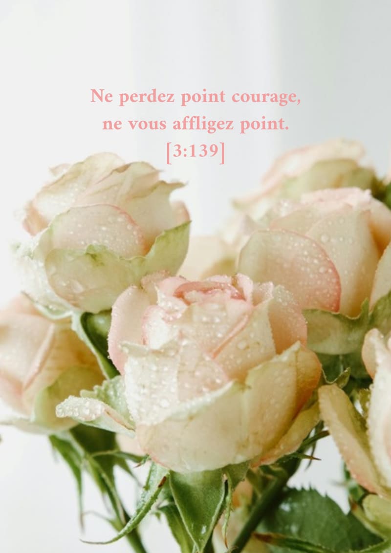 Roses, verset 3:139