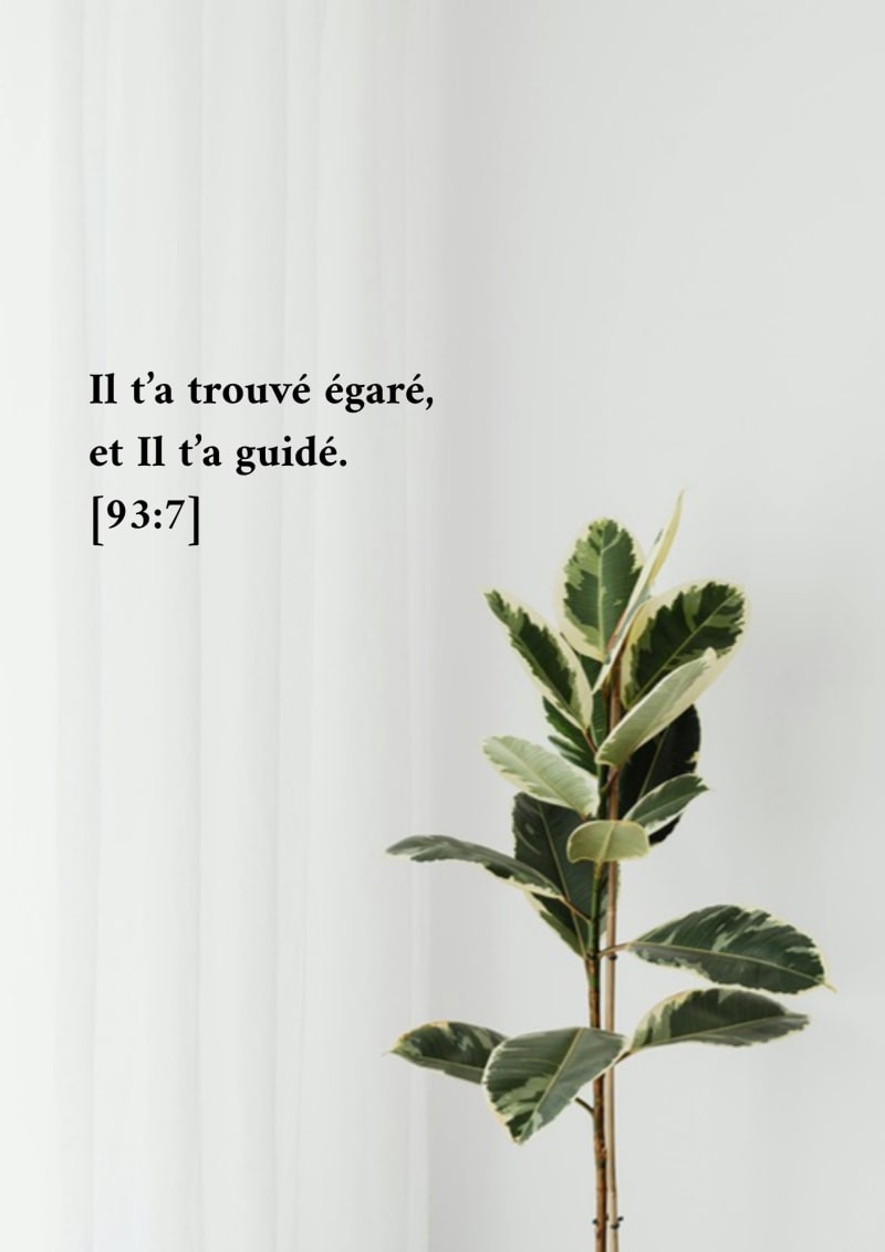 Croître, verset 93:7
