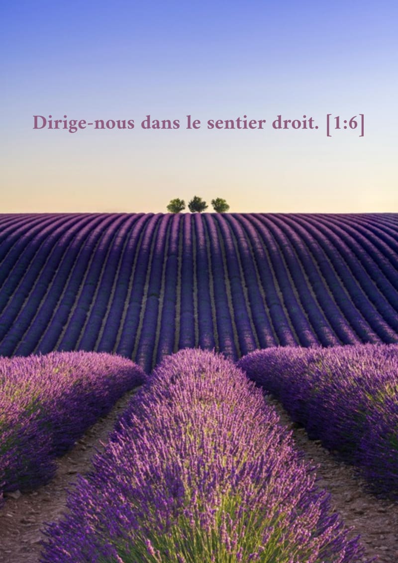 Rangs violets, verset 1:6