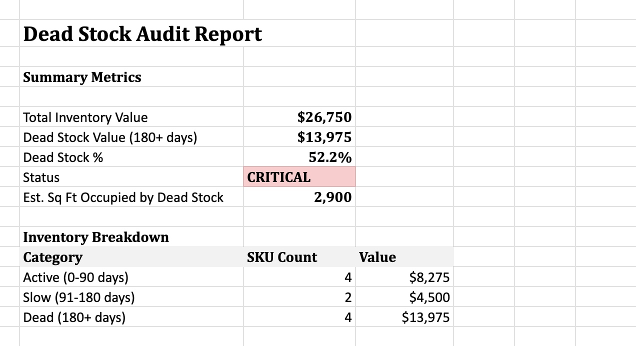 Dead Stock Audit Template Preview
