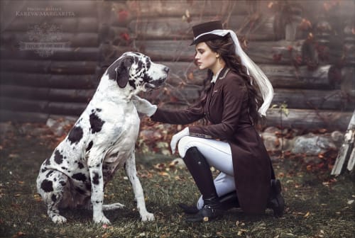 Аренда платья Фрак для верховой езды «Шоколадный» в Москве — Прокат от Кет