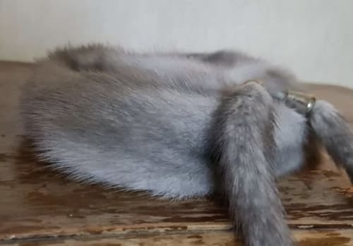 Аренда платья шапочка из голубой норки в Москве — Прокат от Кет