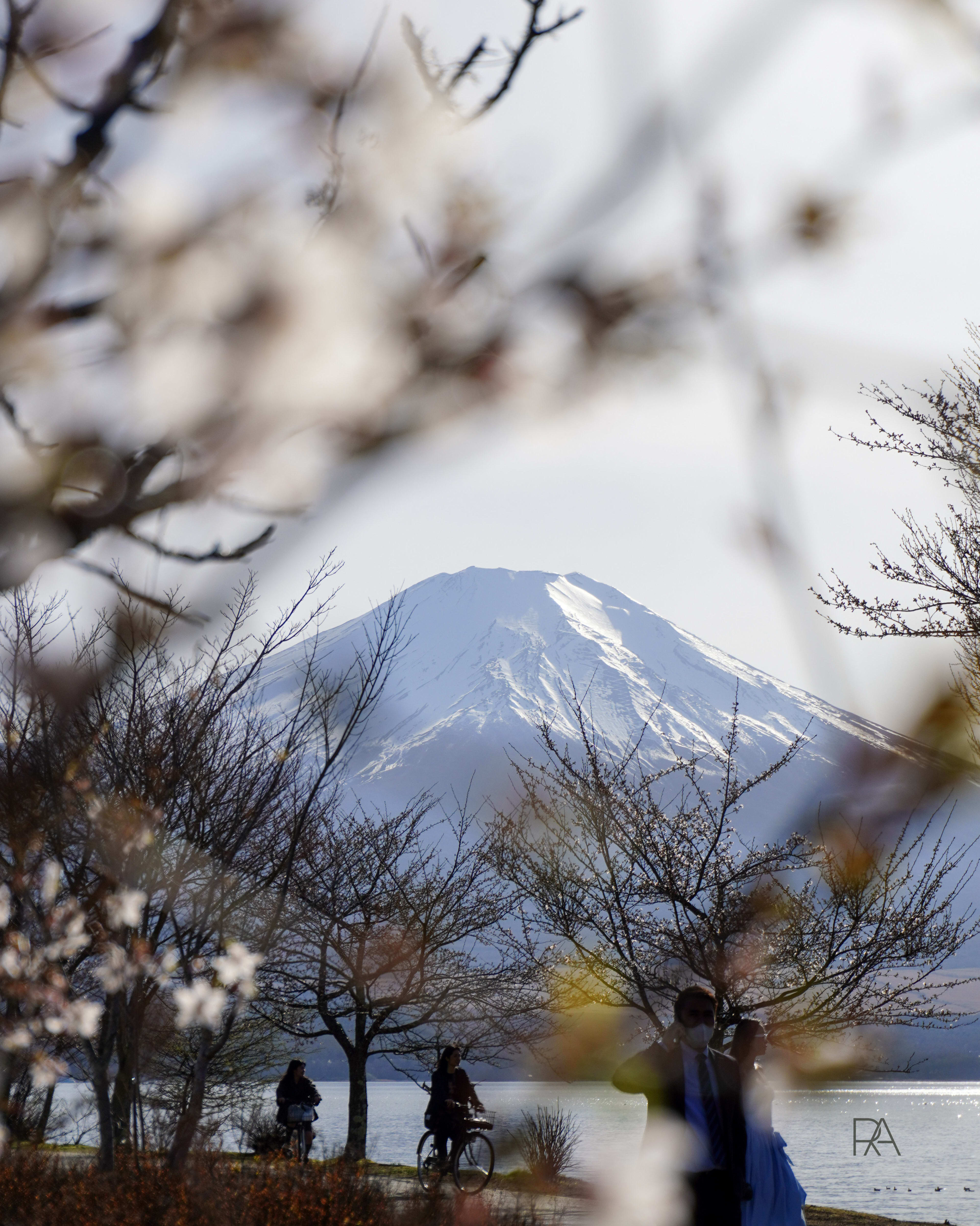 Lake Yamanakako — Mt. Fuji