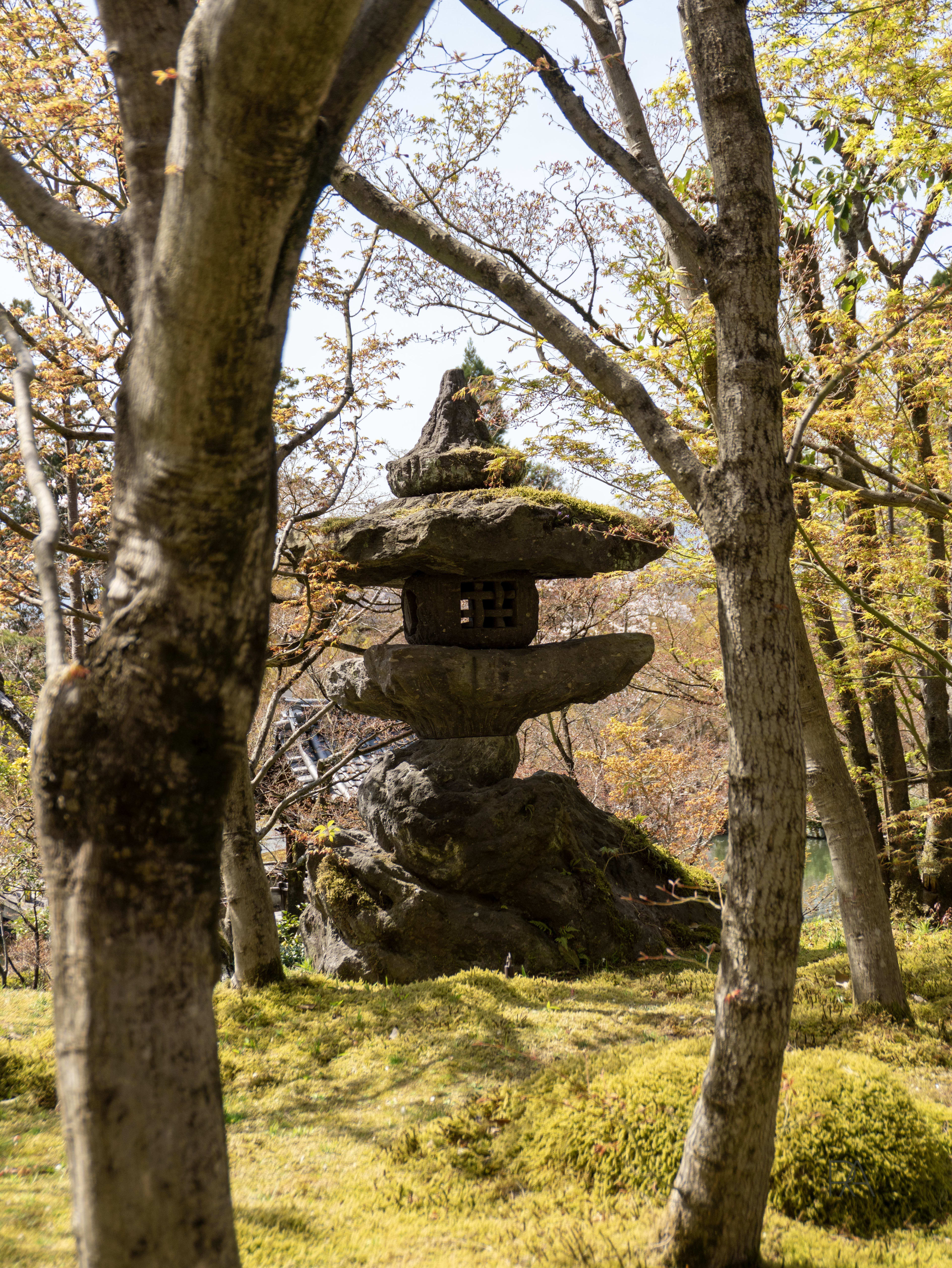 Kyoto Shrine — Kyoto