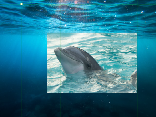 Two different images,an ocean, and a dolphin, in different contexts, one over the other