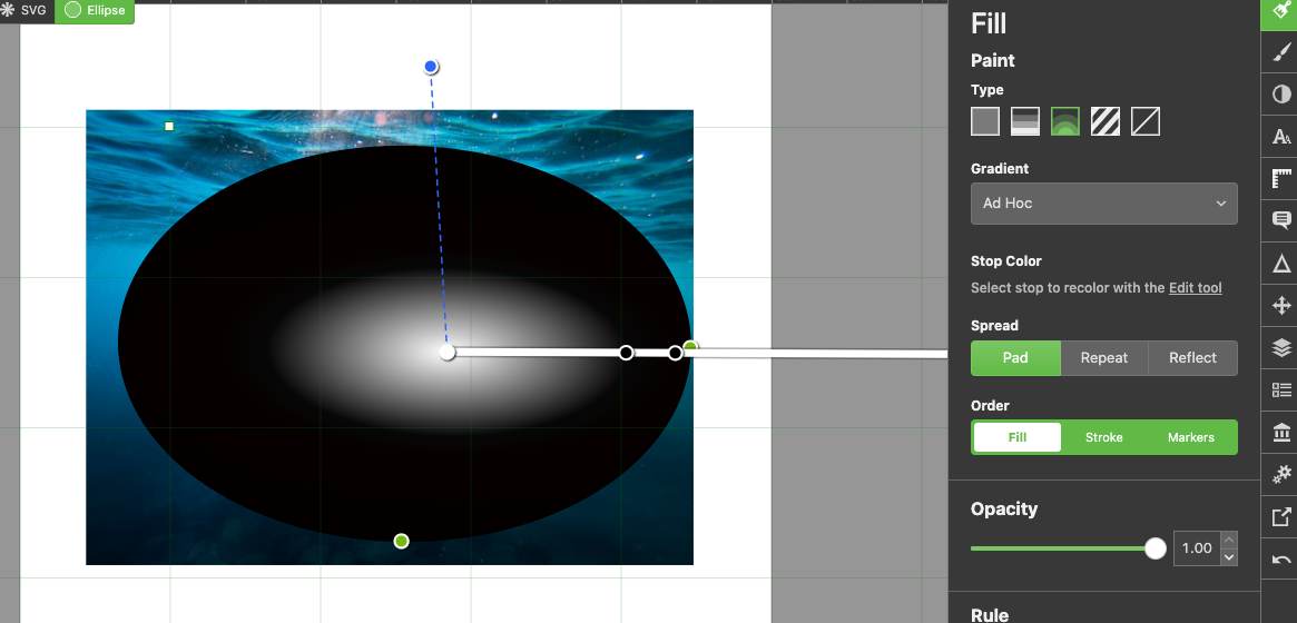 Applying a gradient to the masking ellipse to reveal or hide details on the dolphin photo