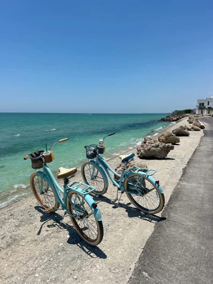 Marari — gallery image 8 of 9