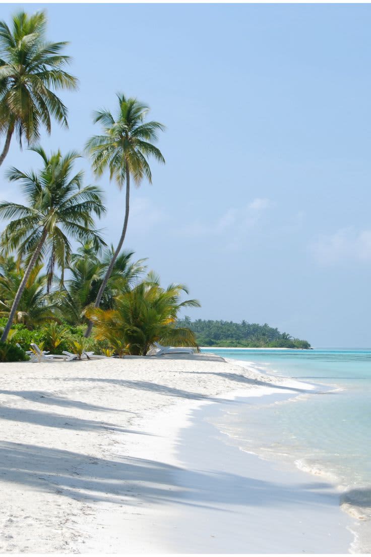 Alleppey — gallery image 6 of 8