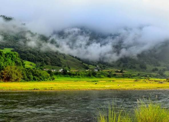 Ziro — gallery image 5 of 9