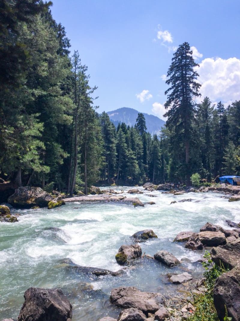 Pahalgam — gallery image 7 of 11
