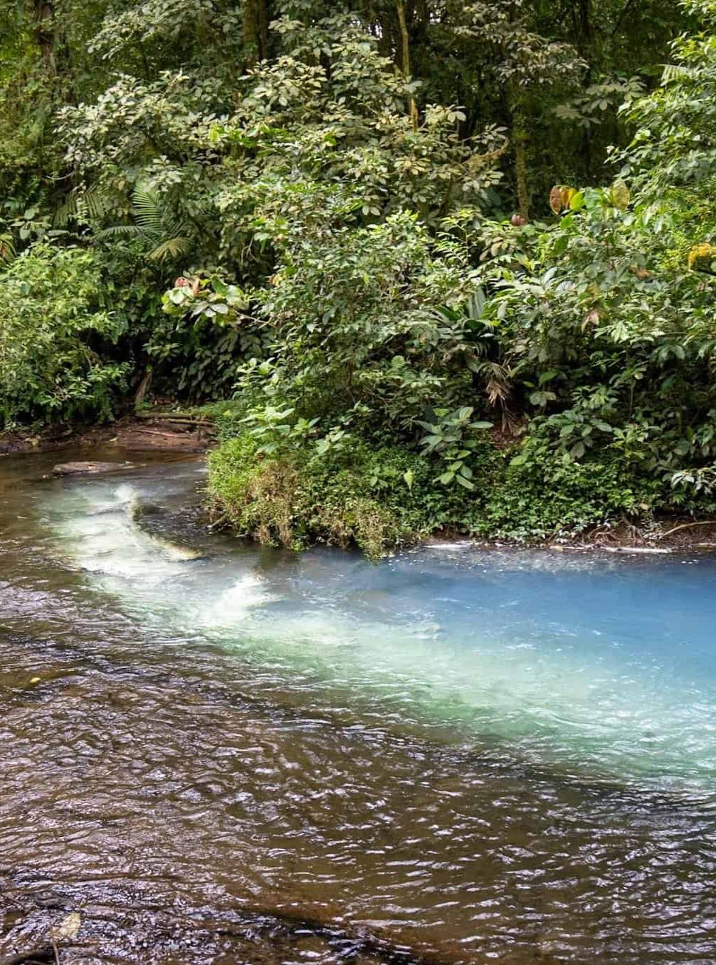 WILDLIFE EXPERIENCE – RÍO CELESTE 