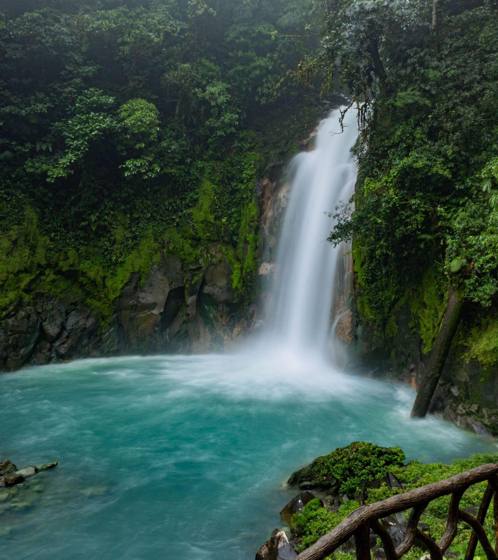 WILDLIFE EXPERIENCE – RÍO CELESTE 