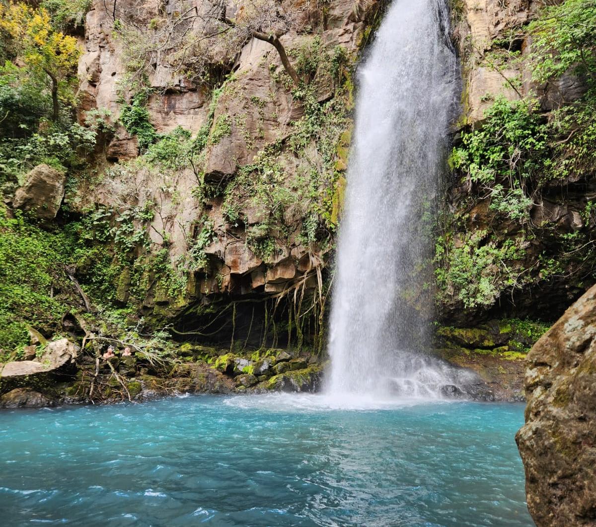 RINCÓN DE LA VIEJA NATIONAL PARK EXPERIENCE