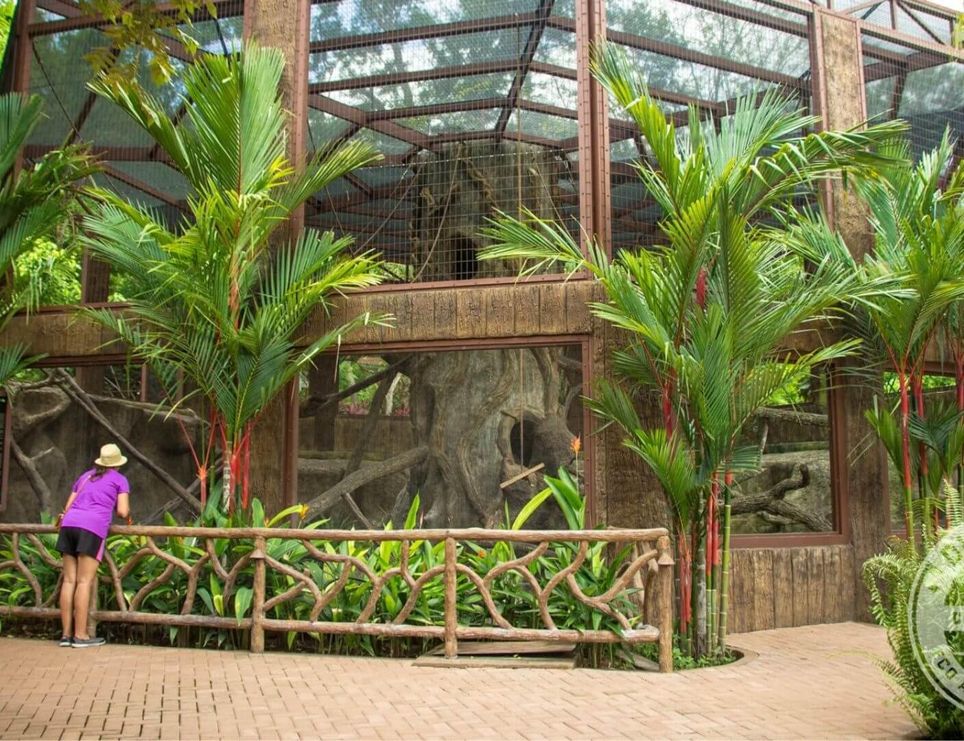 FAMILY DAY IN DIAMANTE ADVENTURE PARK