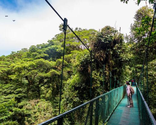NATURE AND WILDLIFE EXPERIENCE – MONTEVERDE