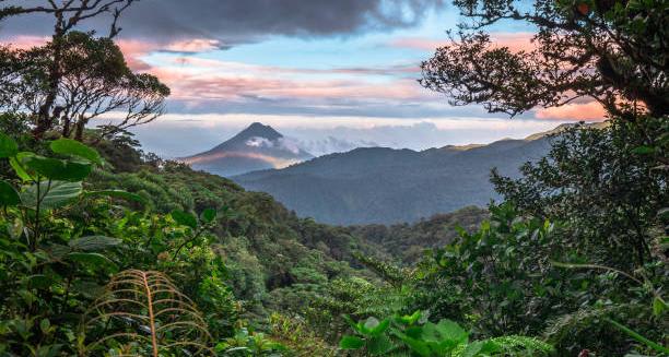 NATURE AND WILDLIFE EXPERIENCE – MONTEVERDE