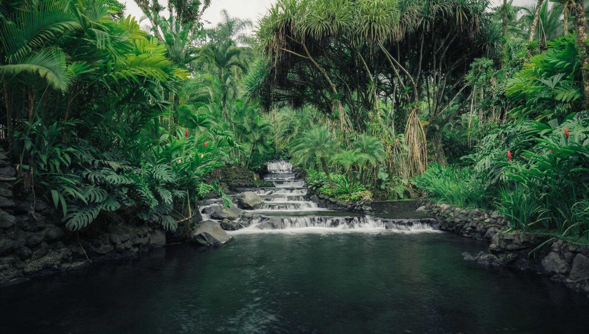 COMBINED EXPERIENCE – ARENAL VOLCANO