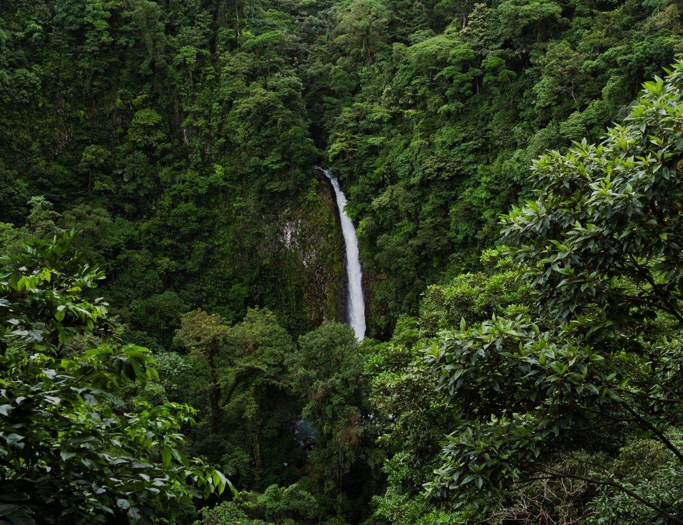 COMBINED EXPERIENCE – ARENAL VOLCANO