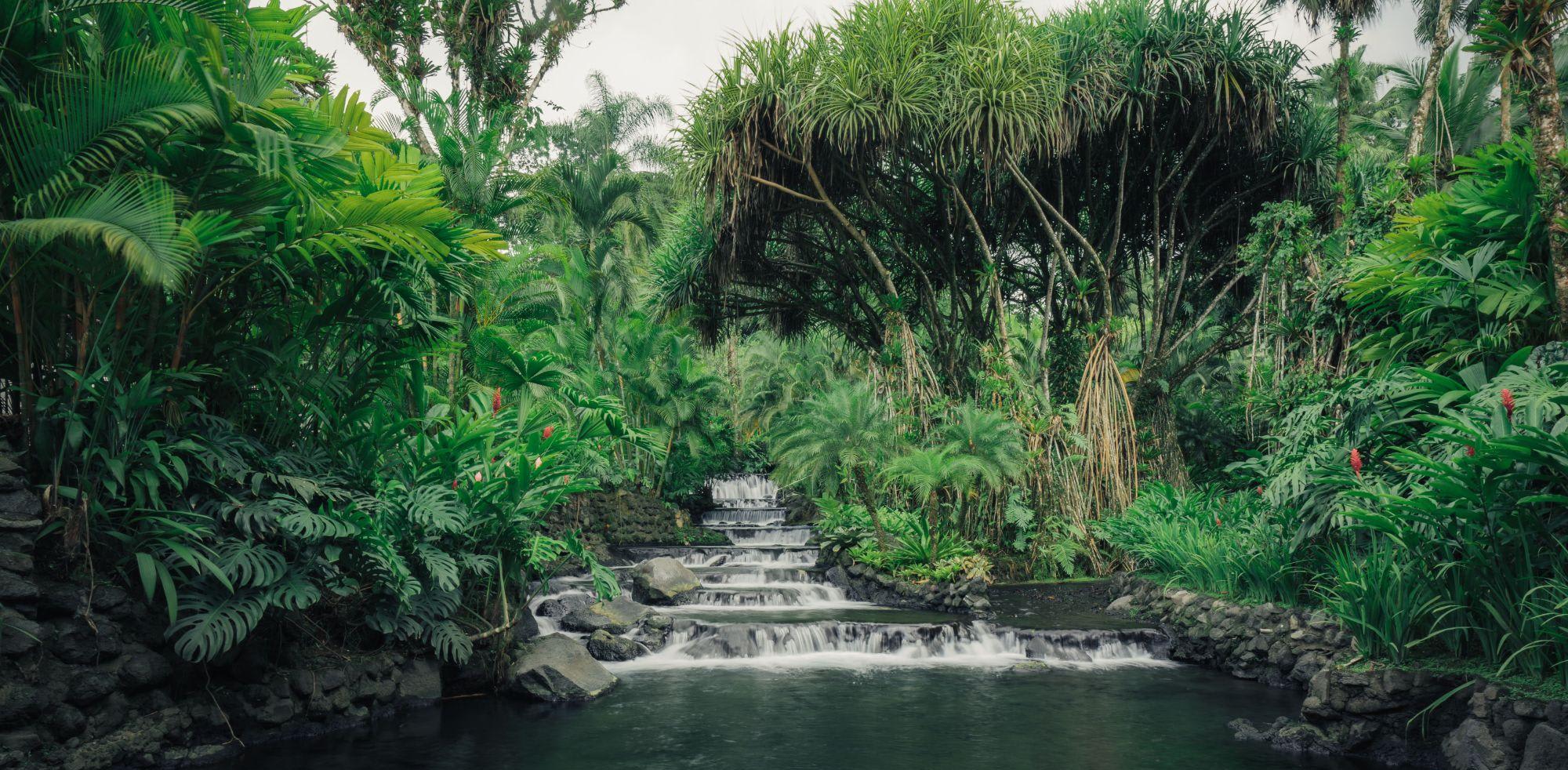 COMBINED EXPERIENCE – ARENAL VOLCANO