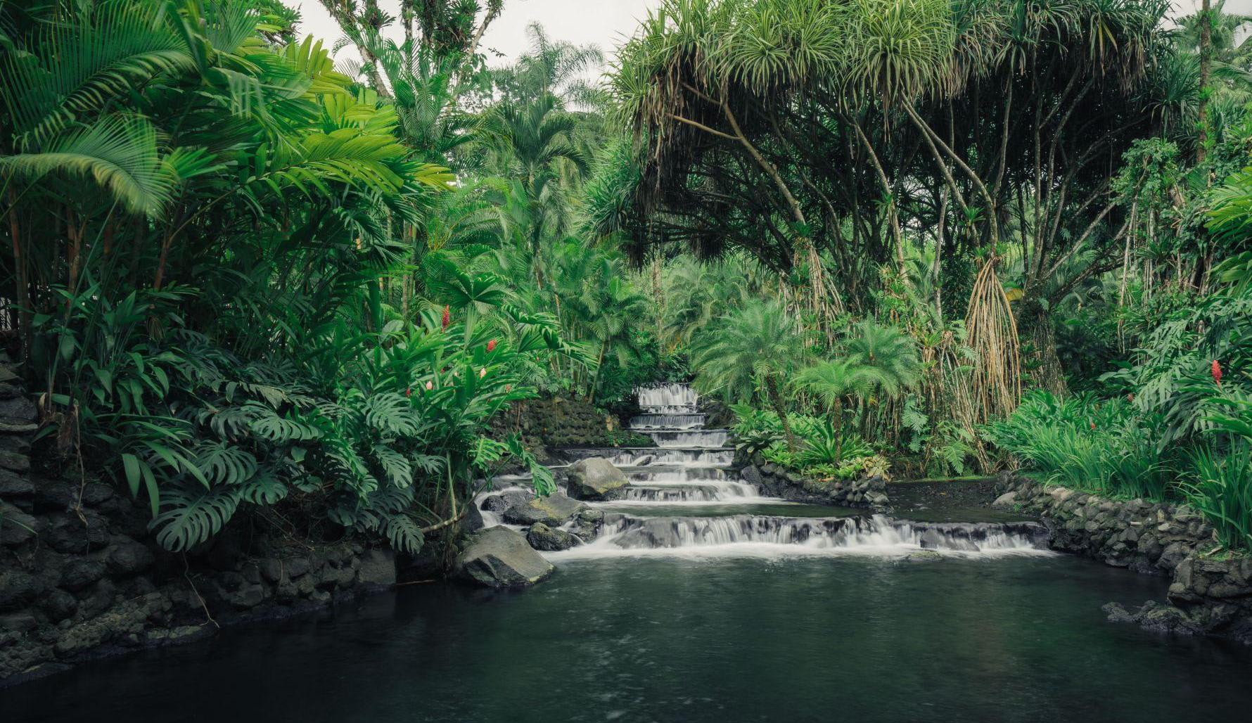 COMBINED EXPERIENCE – ARENAL VOLCANO