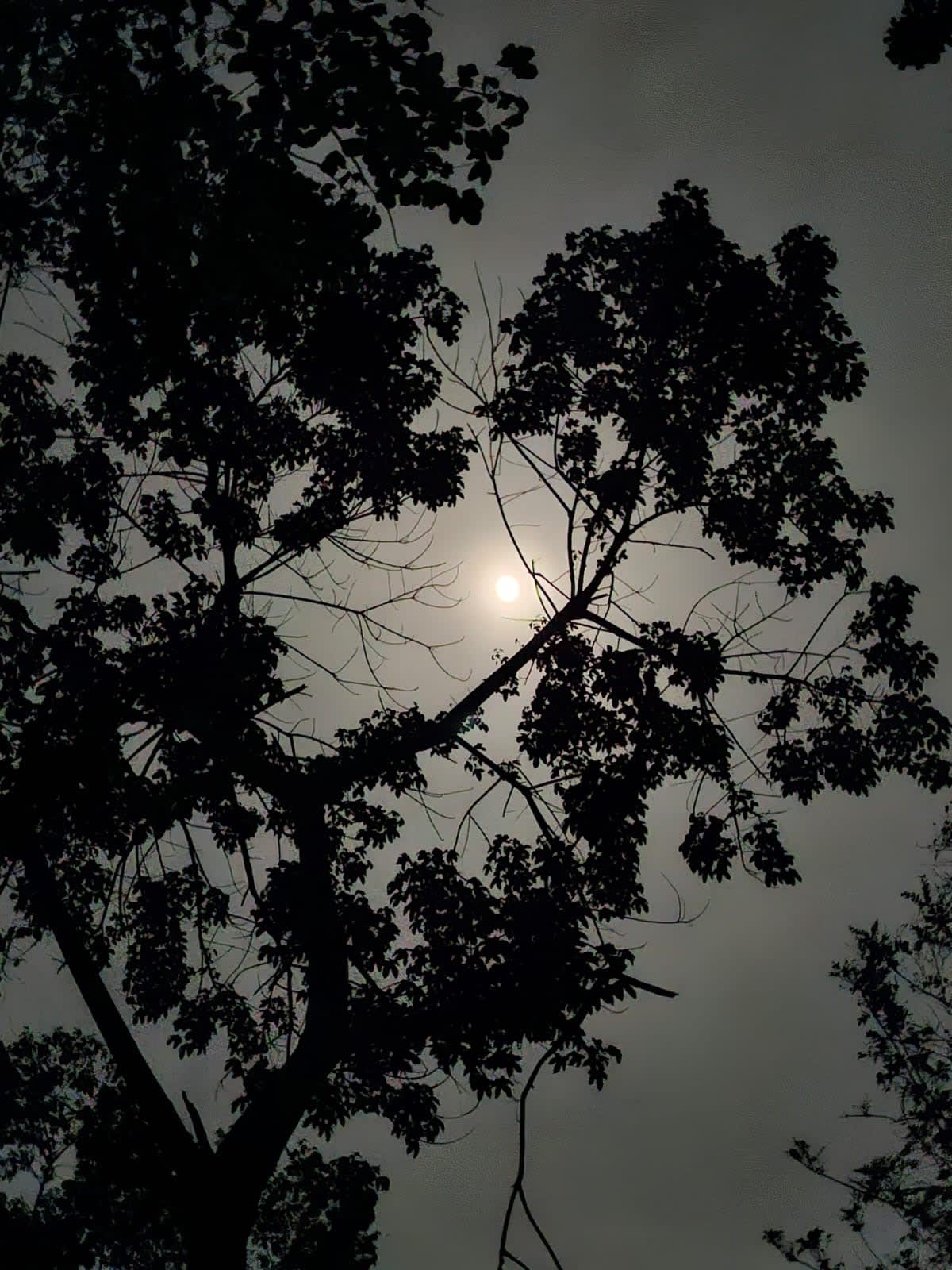 Caminata Noctourna 