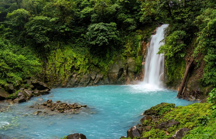 WILDLIFE EXPERIENCE – RÍO CELESTE 
