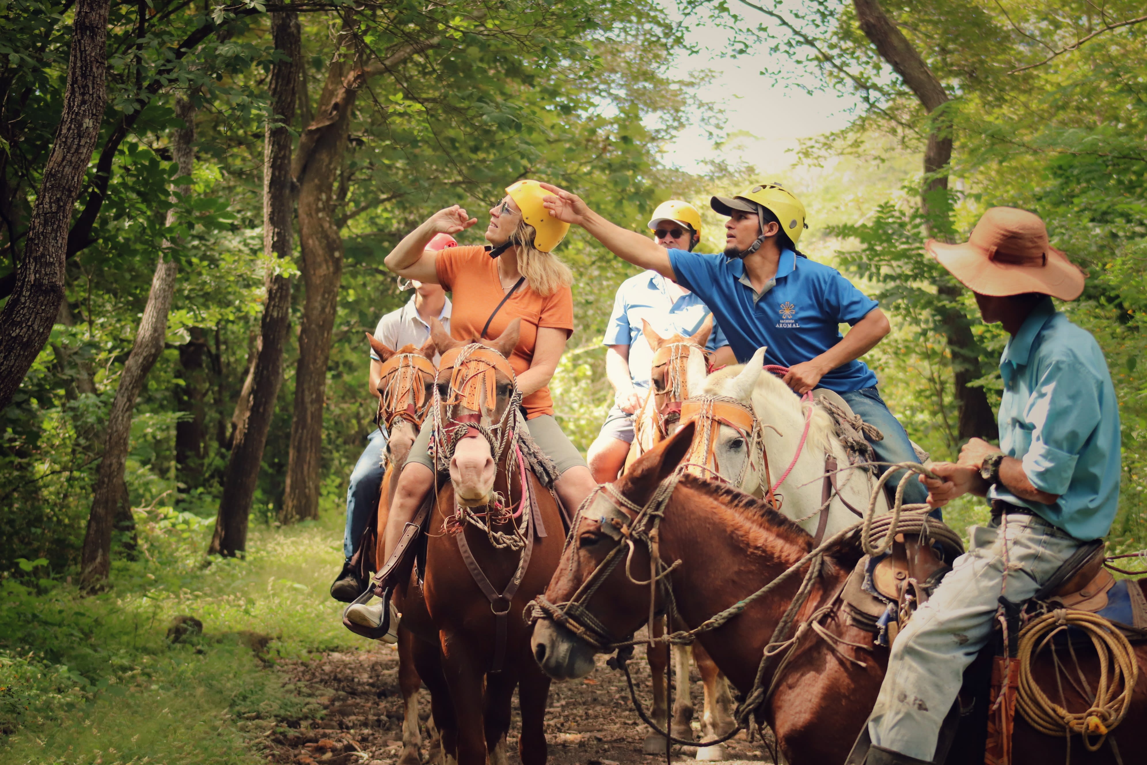 CULTURE AND ADVENTURE EXPERIENCE