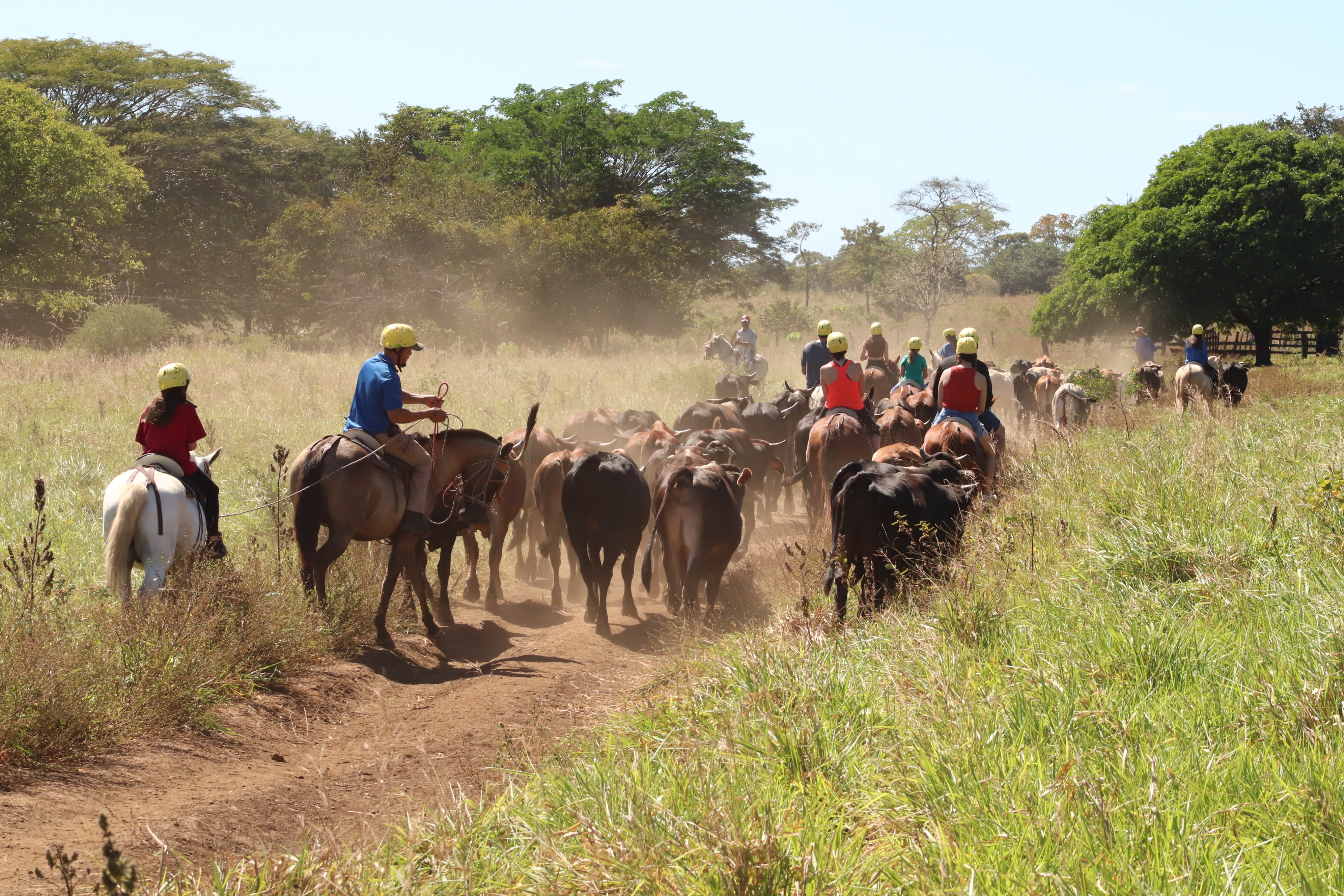 CULTURE AND ADVENTURE EXPERIENCE
